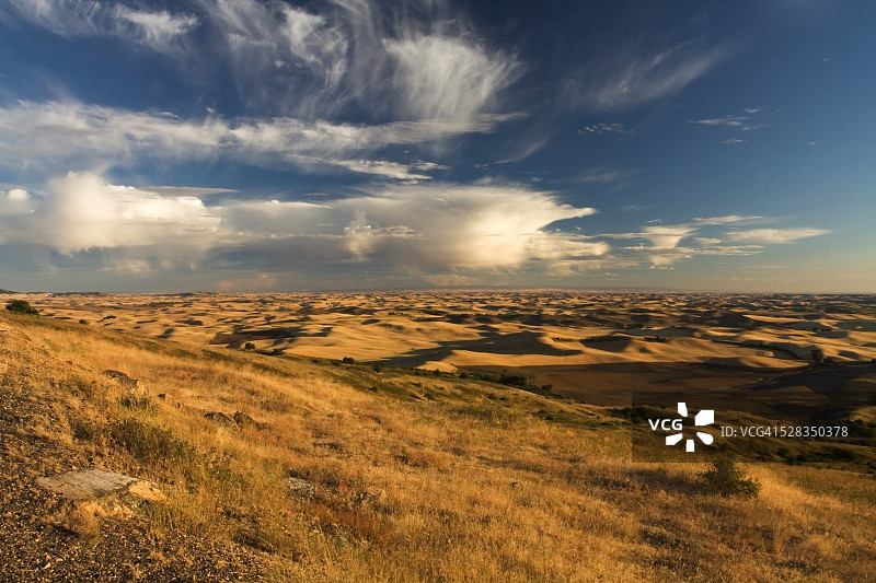 美国华盛顿州帕卢斯地区的斯蒂普托孤丘图片素材