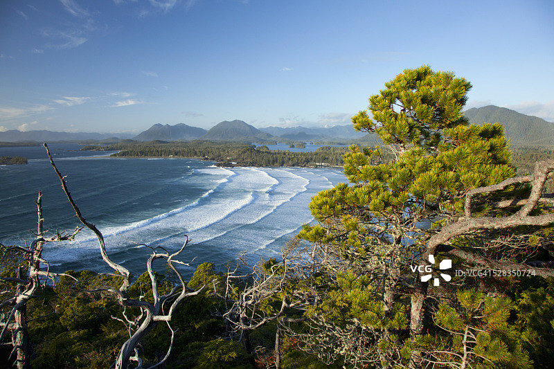从托菲诺附近眺望考克斯湾及周边山脉和温带雨林； 加拿大不列颠哥伦比亚省图片素材