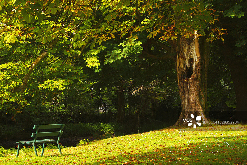 爱尔兰康纳克特郡奥赫特拉德村欧文里夫河边的公园长椅图片素材