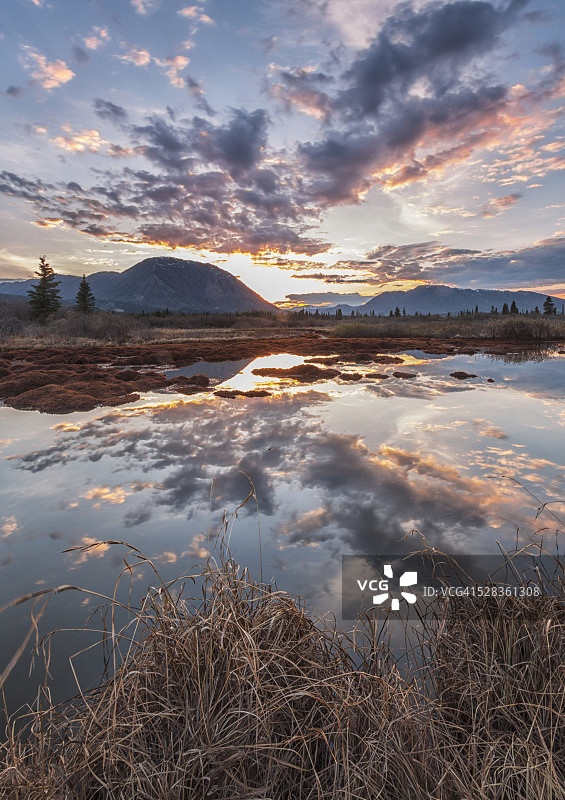 育空地区：白马市附近，安妮湖路沿线，山羊山和日落倒映在一个无名池塘中图片素材