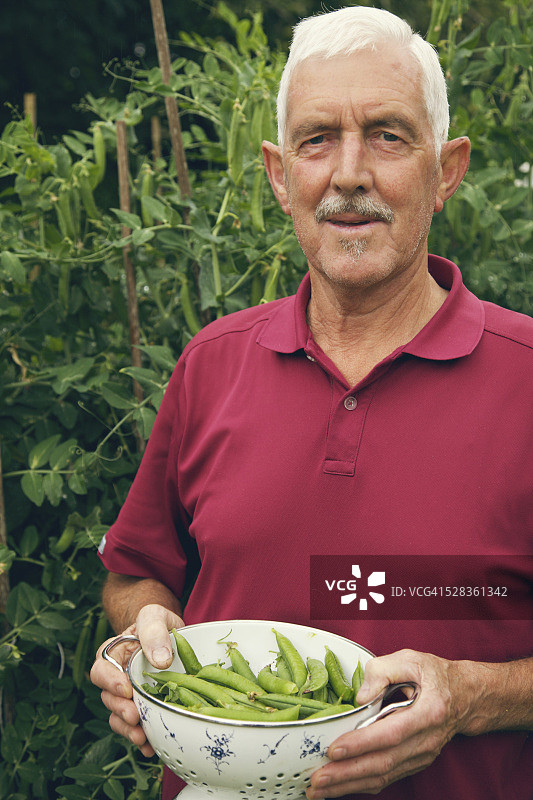 男子手捧一碗豌豆荚；位于爱尔兰基尔代尔郡纳斯图片素材