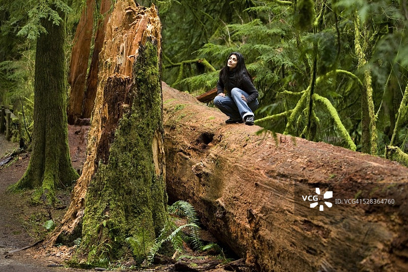 加拿大不列颠哥伦比亚省温哥华岛麦克米兰省立公园大教堂 Grove，一名女子坐在倒下的树上图片素材