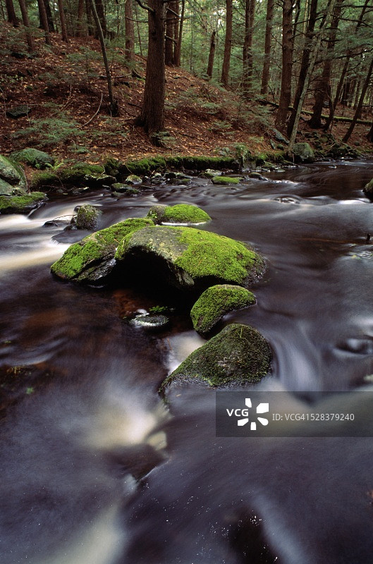 鹿皮鞋小溪图片素材