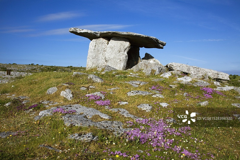 古代巨石墓：爱尔兰克莱尔郡巴利瓦亨的普尔纳布龙支石墓图片素材