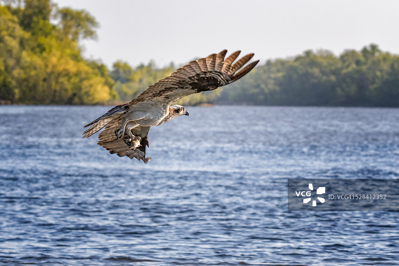 攻占之后图片素材