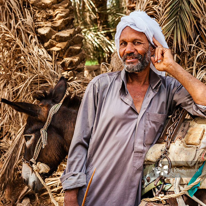 在撒哈拉锡瓦绿洲，赶着驴车的穆斯林男子图片素材