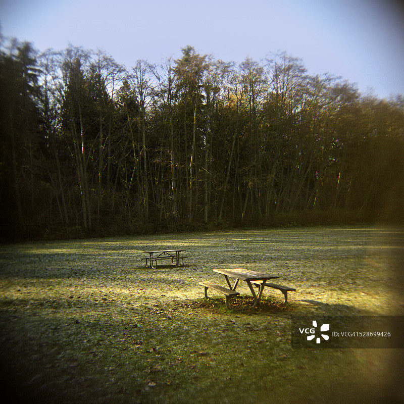 探索公园的野餐桌图片素材
