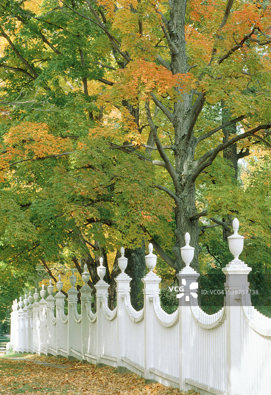 美国贝宁顿的树木与历史围栏图片素材