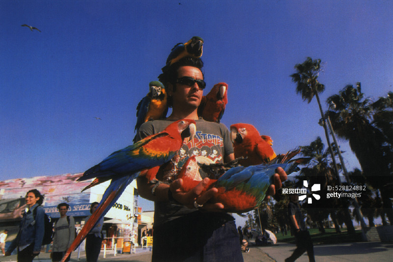 在长廊上抱着鹦鹉的男人图片素材