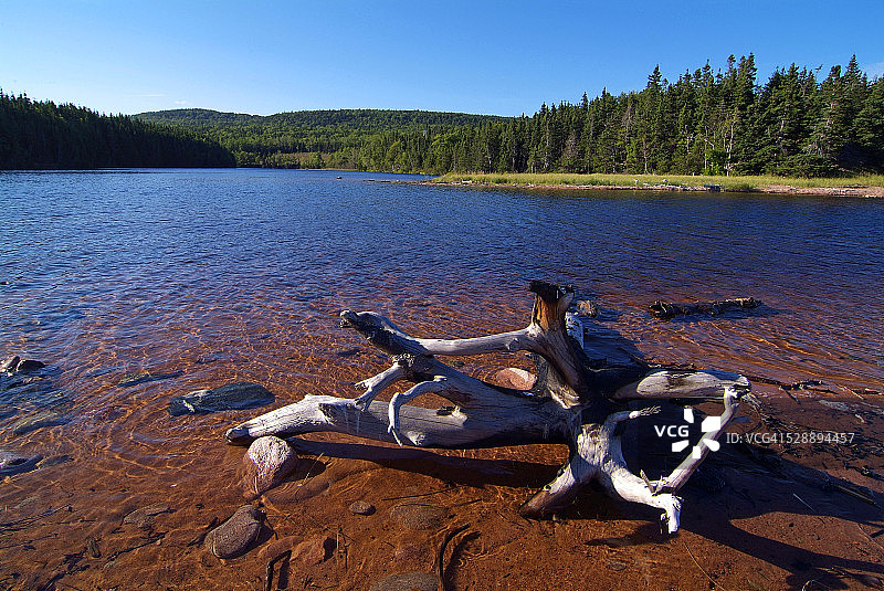 布雷顿角愉悦湾附近的大西洋海岸图片素材