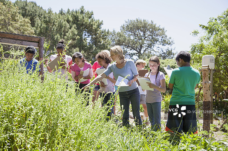 儿童学校郊游在大自然中图片素材