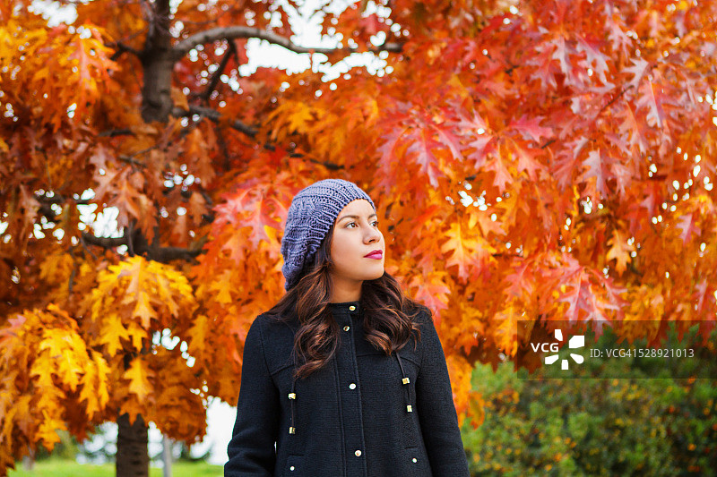 秋天的色彩在公园里图片素材