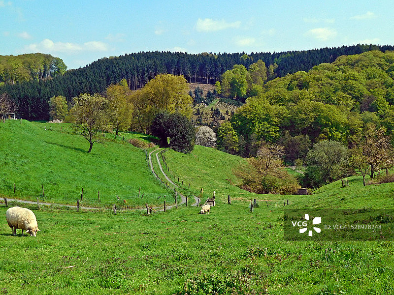 田园风光：Odenthal-Landwehr，Bergisches Land图片素材