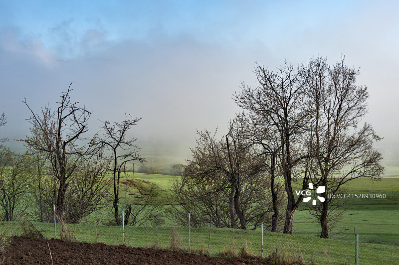 萨夫萨特，阿尔特温图片素材
