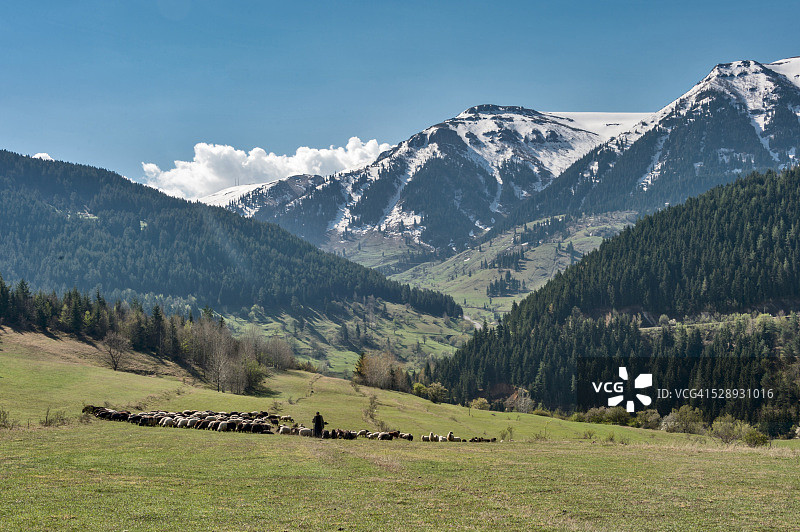 牧羊图片素材