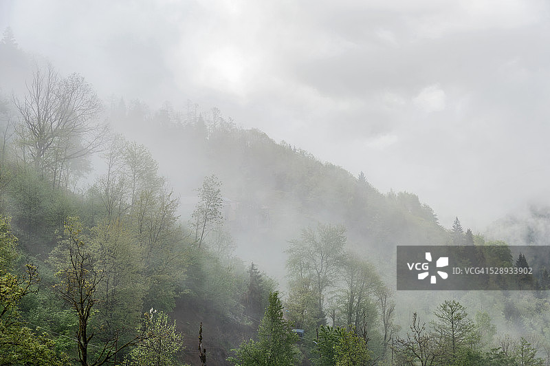 马卡海尔，阿尔特温，黑海图片素材