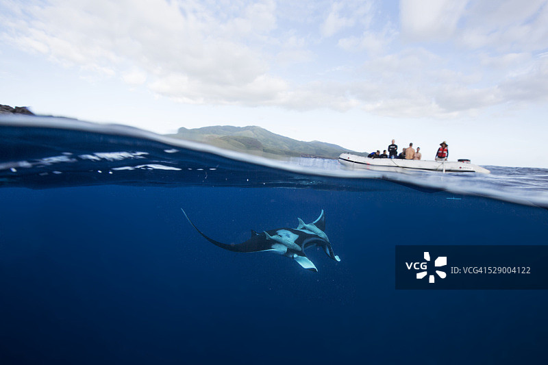 潜水员船下的蝠鲼图片素材