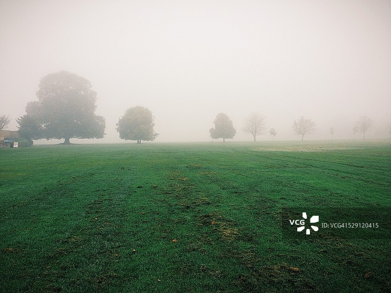 清晨的雾气笼罩着黑麦公园图片素材