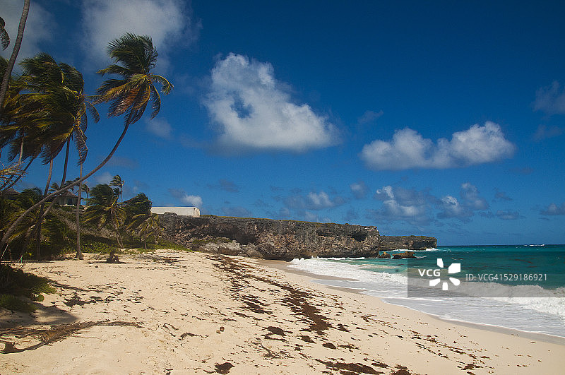 巴巴多斯的底部海湾图片素材