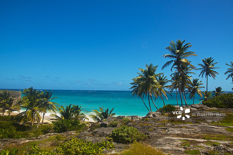 从山上眺望的加勒比海滩景色图片素材