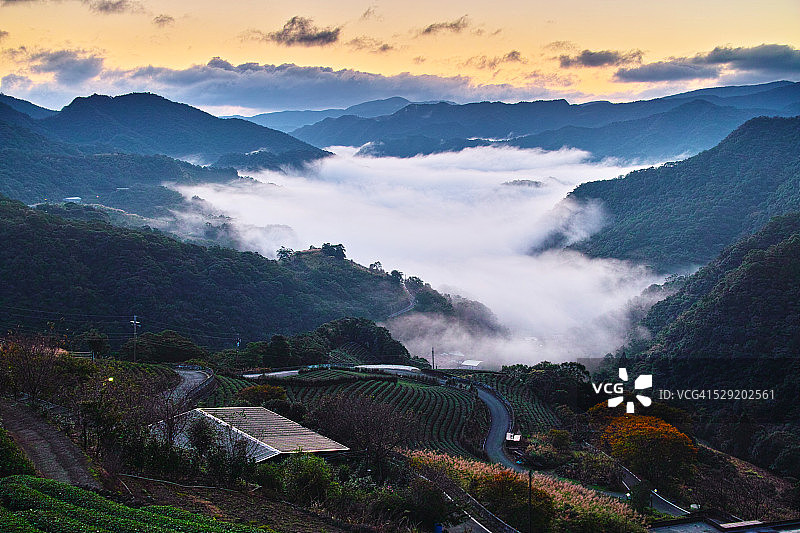 坪林茶园图片素材