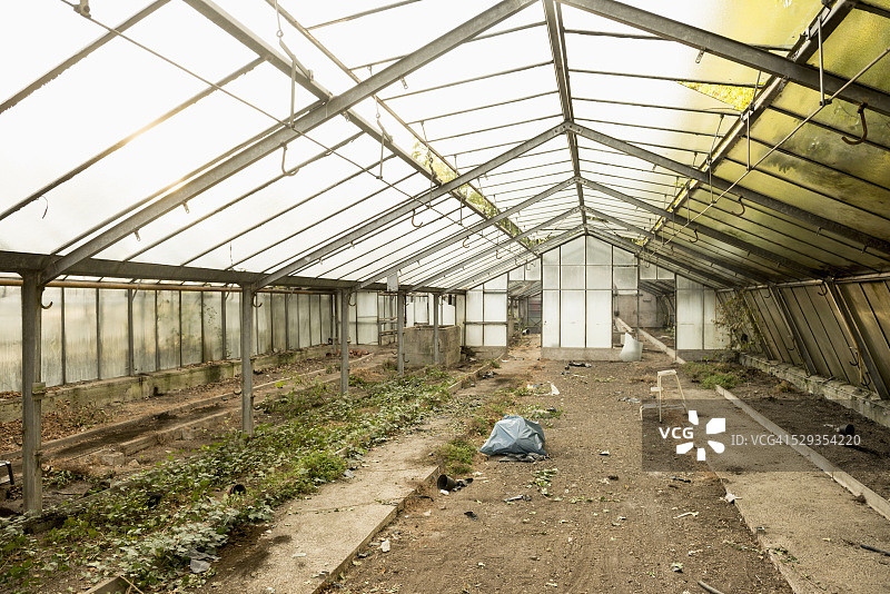 慕尼黑巴伐利亚废弃温室内部图片素材