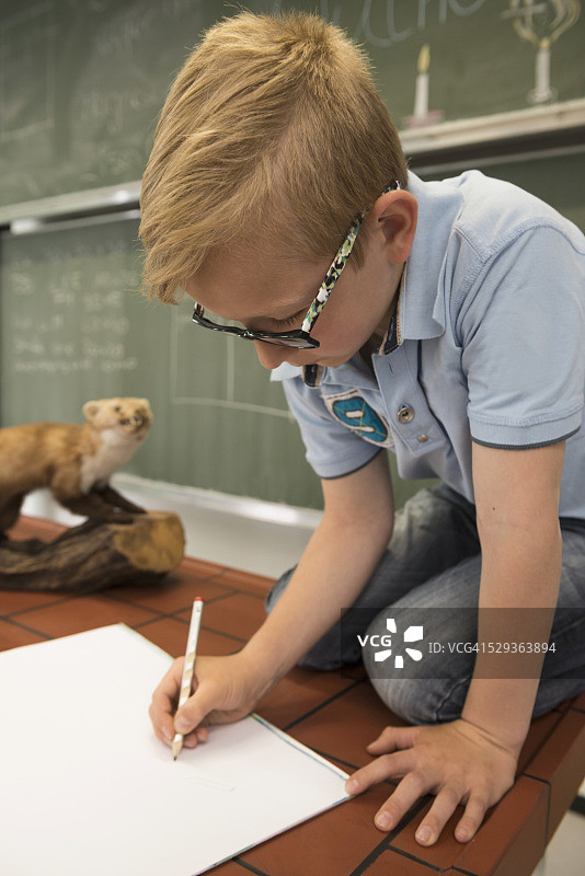 在生物课上画貂的男学生，德国巴伐利亚州菲尔斯滕费尔德布鲁克图片素材