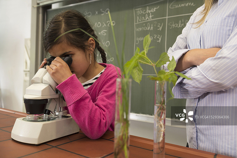 女学生和老师在显微镜下观察（德国巴伐利亚州）图片素材