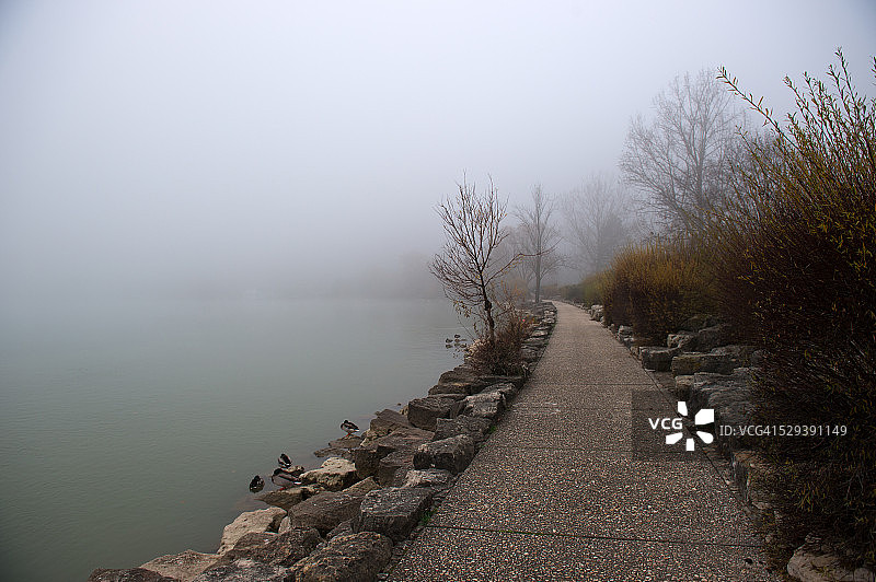 瑞士比尔湖图片素材