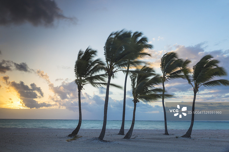 多米尼加共和国蓬塔卡纳、卡普卡纳、胡安尼洛海滩图片素材