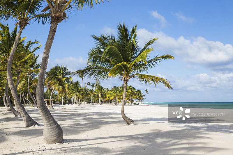 多米尼加共和国蓬塔卡纳、卡普卡纳、胡安尼洛海滩图片素材