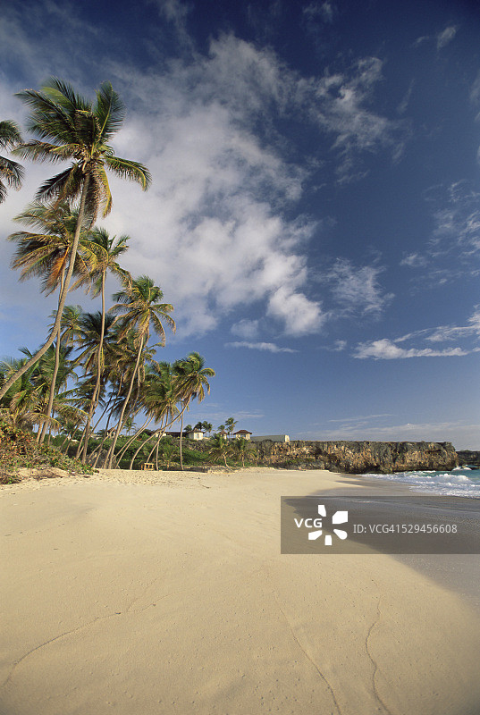 巴巴多斯海滩风光图片素材
