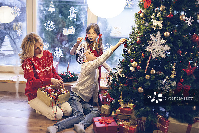 家庭装饰圣诞树图片素材