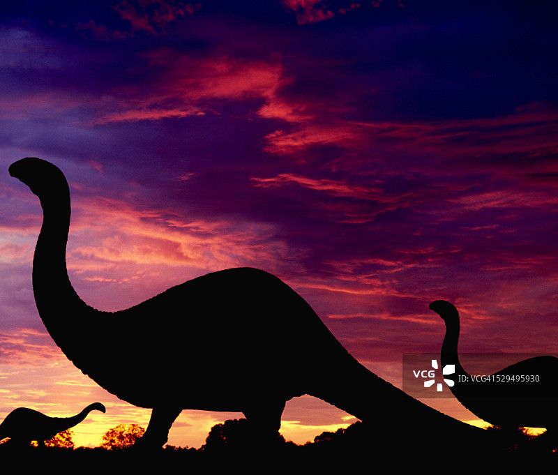 夕阳下的迷惑龙图片素材