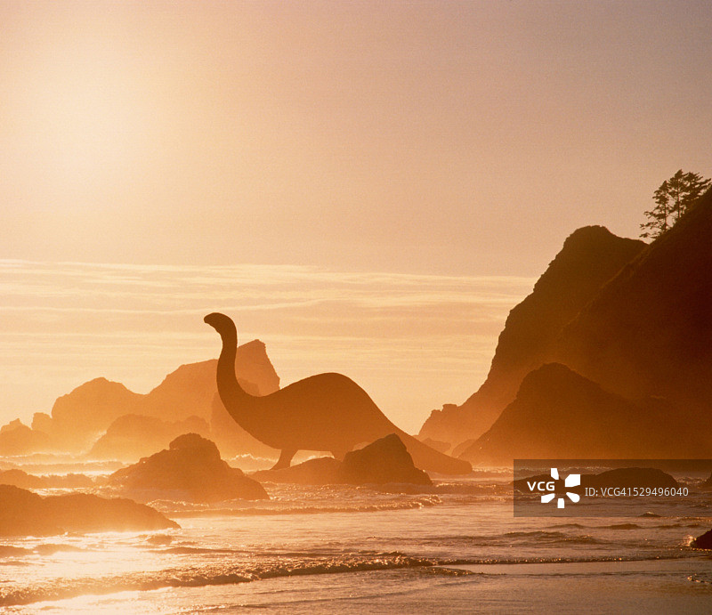 在汹涌海浪中的迷惑龙图片素材