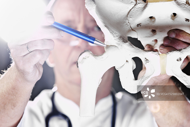 医生指向髋关节图片素材