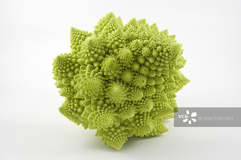 花椰菜图片素材