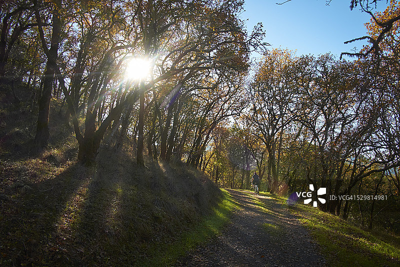 在纳帕县骑自行车的骑行者图片素材