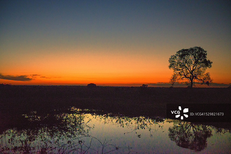 巴西潘塔纳尔湿地日落图片素材