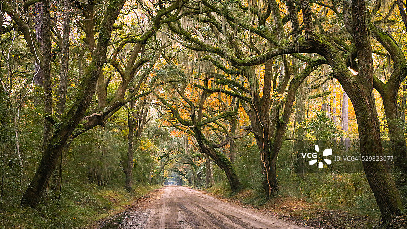 美丽的乡村公路图片素材