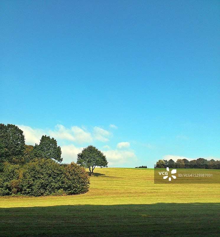 绿色的田野图片素材