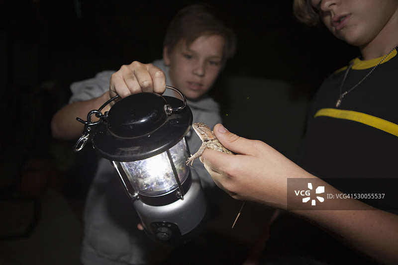 两个男孩晚上在美国亚利桑那州图森市拿着多刺蜥蜴图片素材