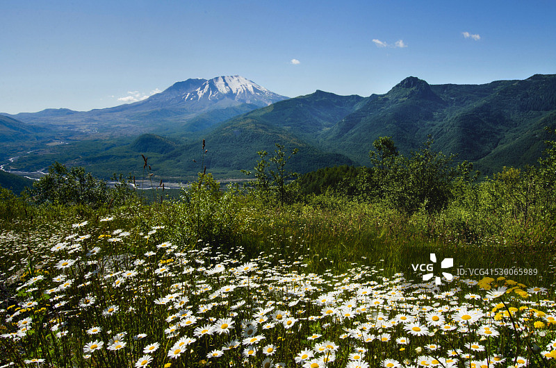 美国华盛顿州圣海伦火山图片素材