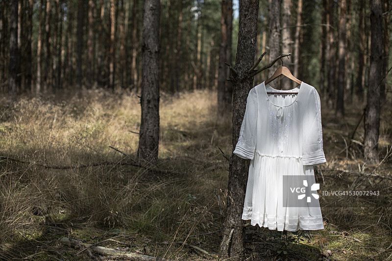 森林里挂在树枝上的白色连衣裙图片素材