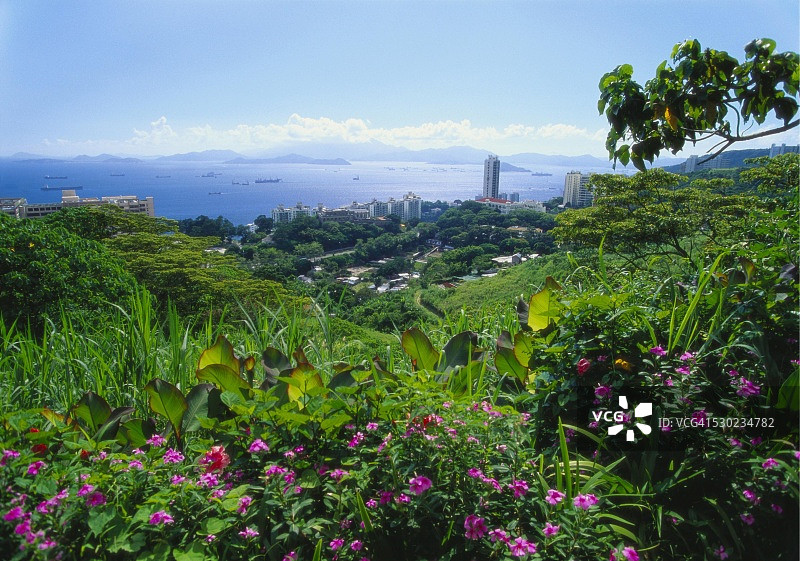 香港薄扶林，湾仔图片素材