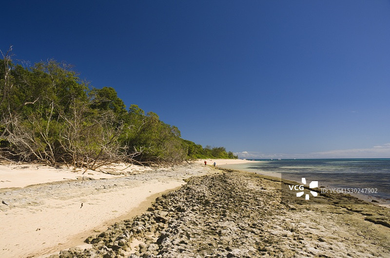 澳大利亚昆士兰州凯恩斯大堡礁绿岛图片素材