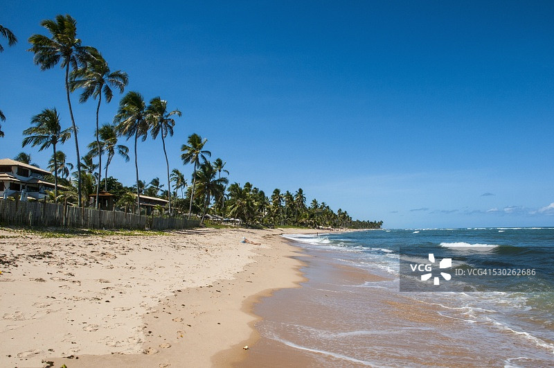 巴西巴伊亚福特海滩的热带海滩风光图片素材
