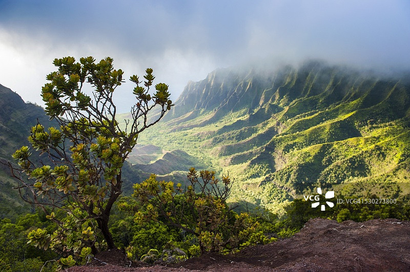 夏威夷考艾岛纳帕利海岸观景图片素材