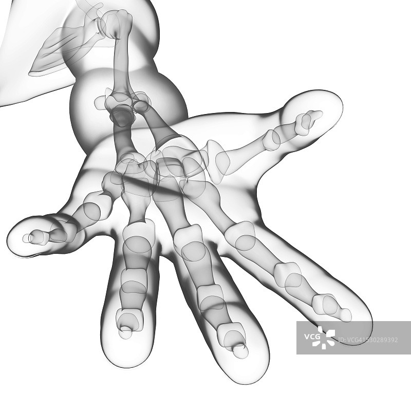 手部骨骼电脑艺术图图片素材