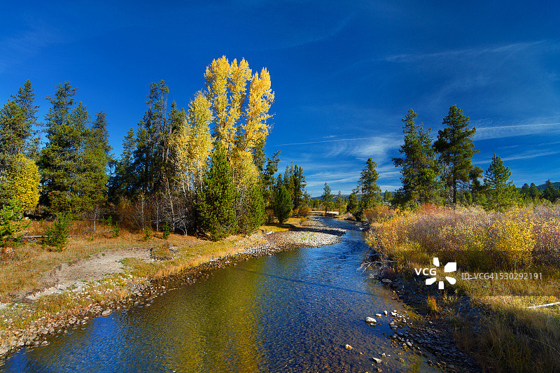 爱达荷州西部小溪边的秋景图片素材